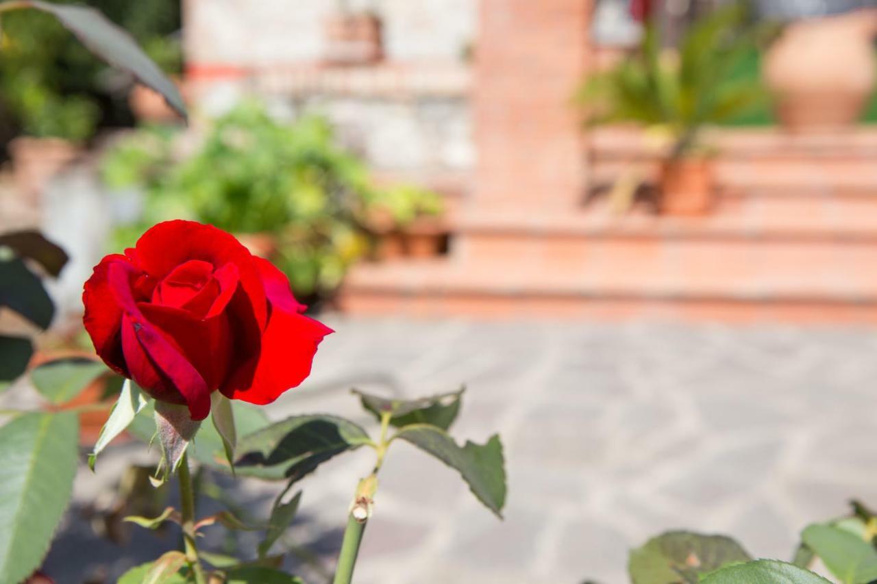 B&B Spring Perugia Exterior foto